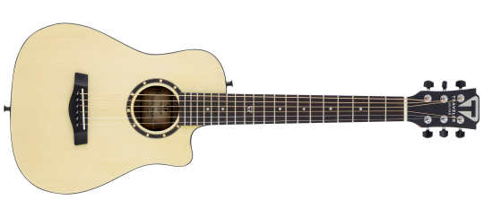 CS-10-front-Traveler Guitar®