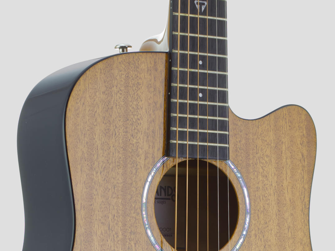 RM_cutaway_callout-Traveler Guitar®