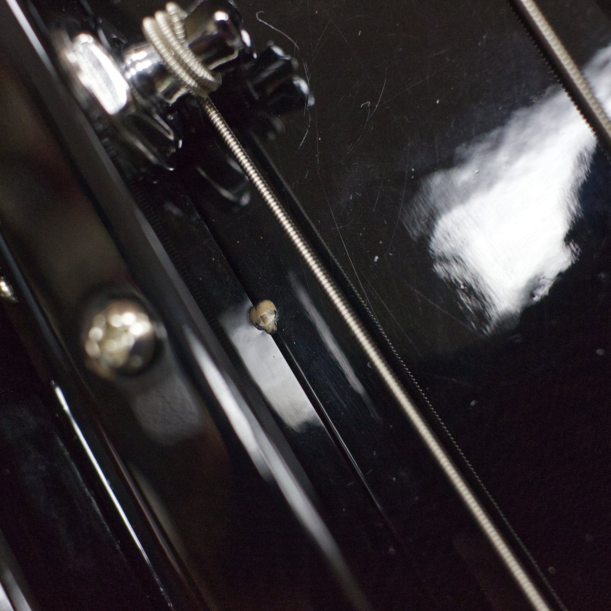 MOD SHOP-TB-4P Bass (Sunburst/Maple) Bass