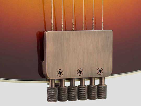 Streamline Tuning System on Traveler Guitar Redlands Dreadnought