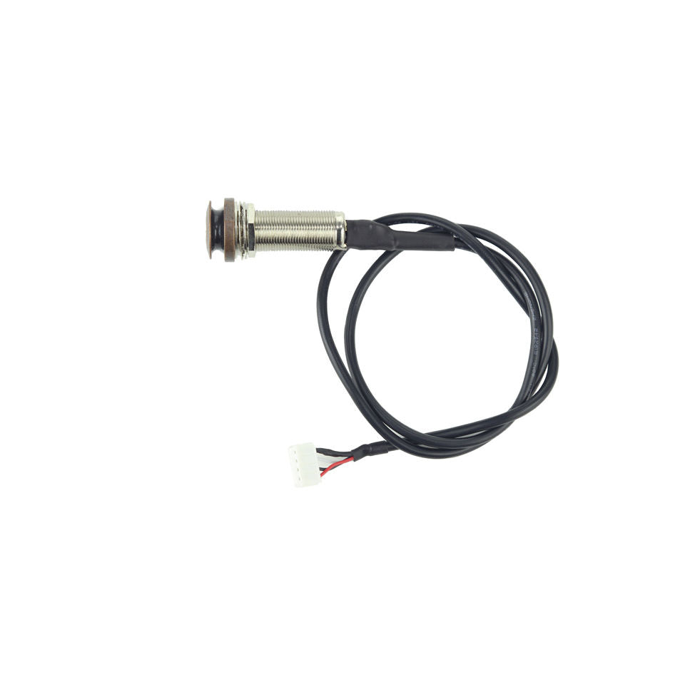 1/4" Output Jack for Redlands Dreadnought/ AG-Series (Antique Bronze)