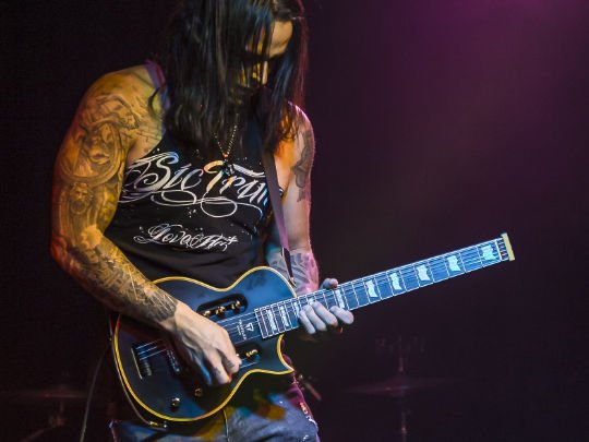 Bill Hudson - Traveler Guitar®