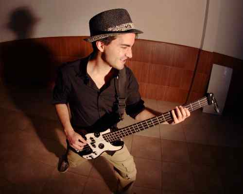 Rodrigo Poche - Traveler Guitar®