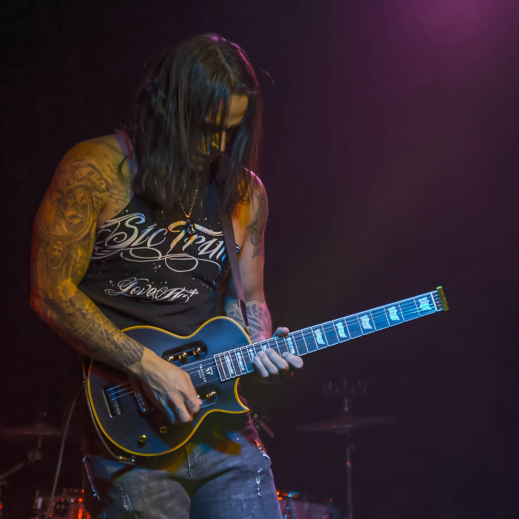 Traveler Guitar Electric Guitars