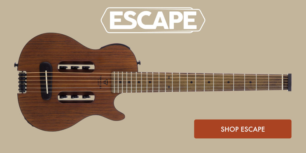 Acoustic | Electric | Hybrid | Bass Guitars – Traveler Guitar®
